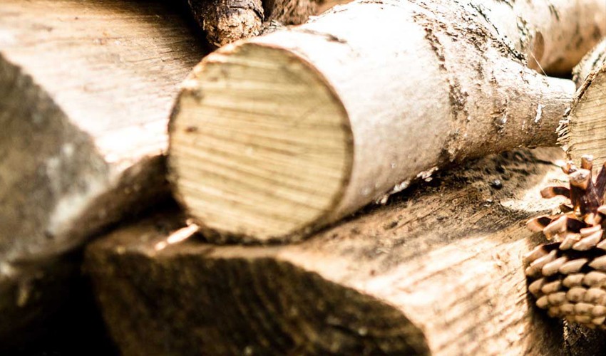 Réalisation de site pour Fourniture de bois de chauffage Coetmieux